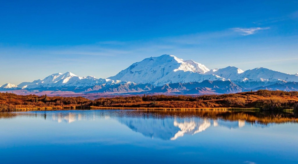 Denali National Park tundra and Alaska Range mountains